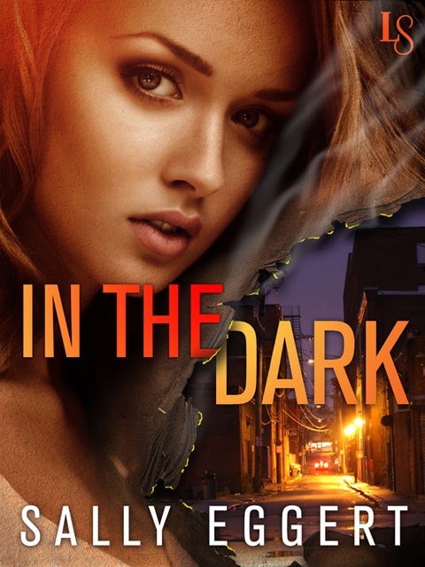 Cover image for book In the Dark