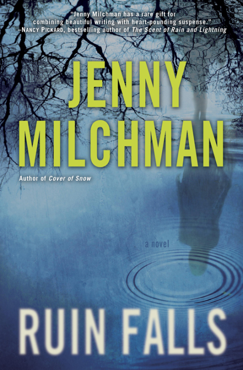 Cover image for book Ruin Falls