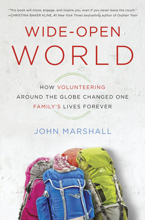 Cover image for book Wide-Open World