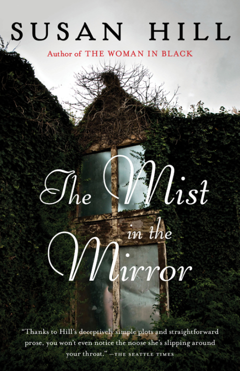 Cover image for book The Mist in the Mirror