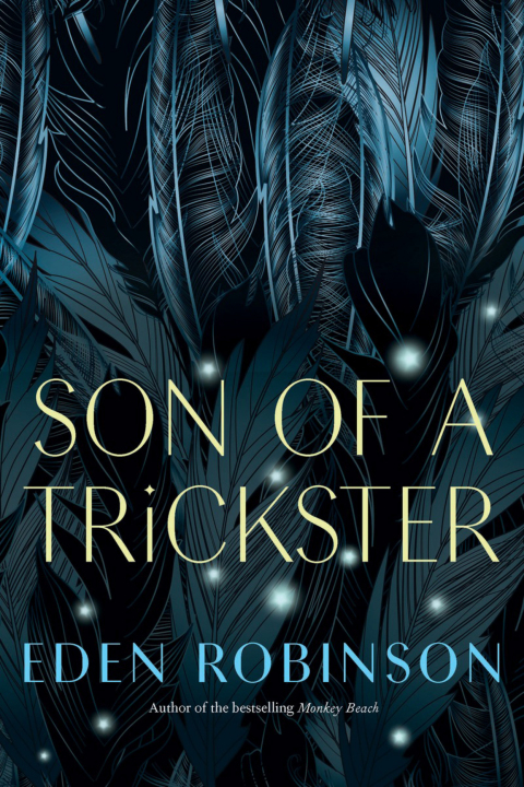 Cover image for book Son of a Trickster