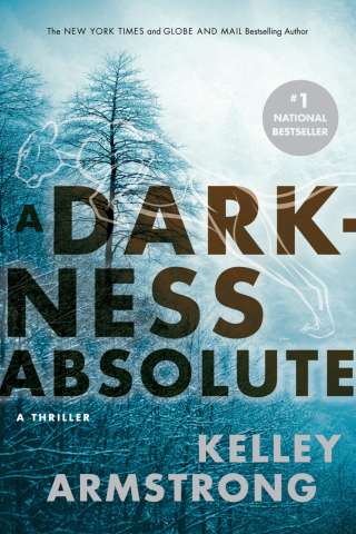 A Darkness Absolute