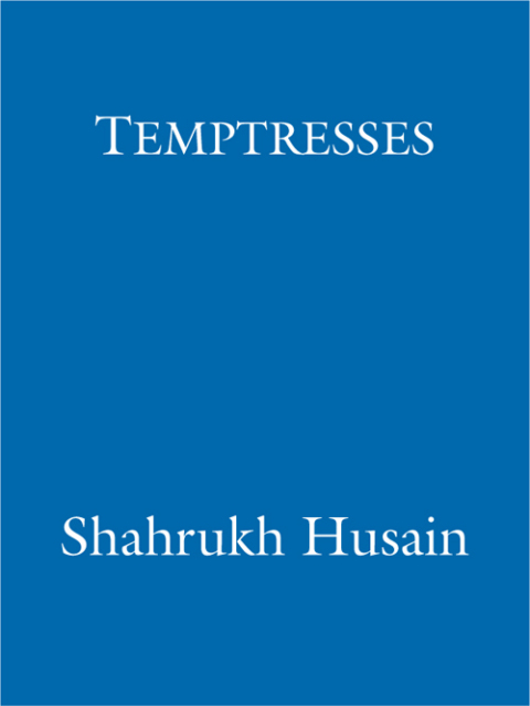 Cover image for book Temptresses