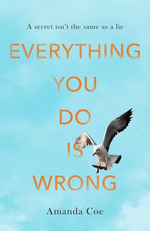 Cover image for book Everything You Do Is Wrong