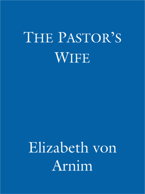 Cover image for book The Pastor's Wife