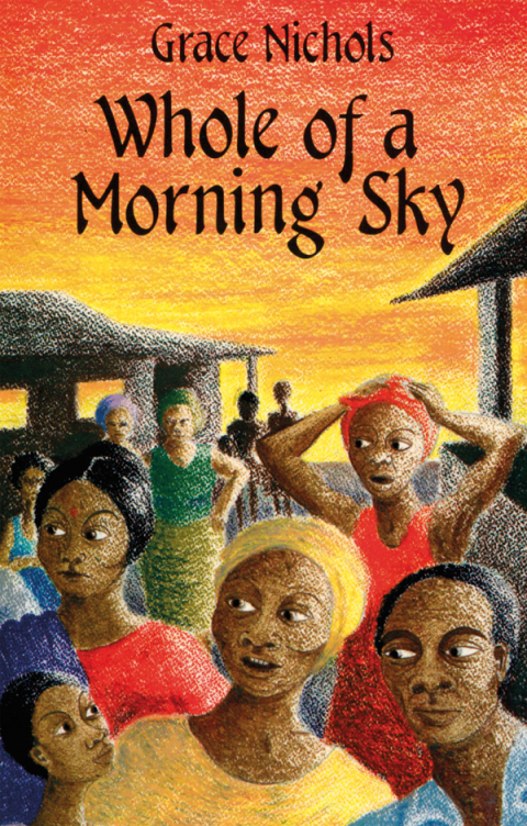 Cover image for book Whole Of A Morning Sky