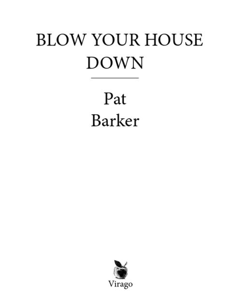Cover image for book Blow Your House Down