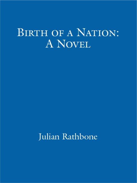 Cover image for book Birth Of A Nation: A Novel
