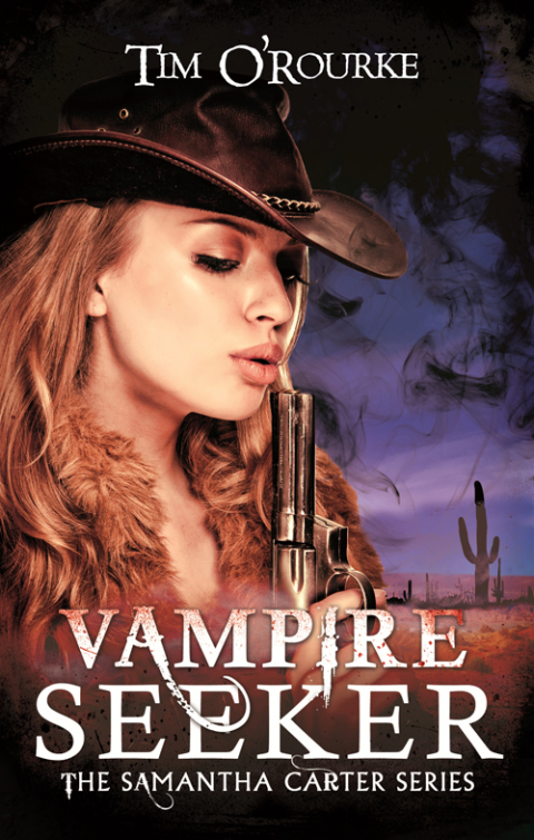 Cover image for book Vampire Seeker