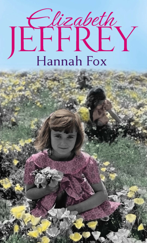 Cover image for book Hannah Fox