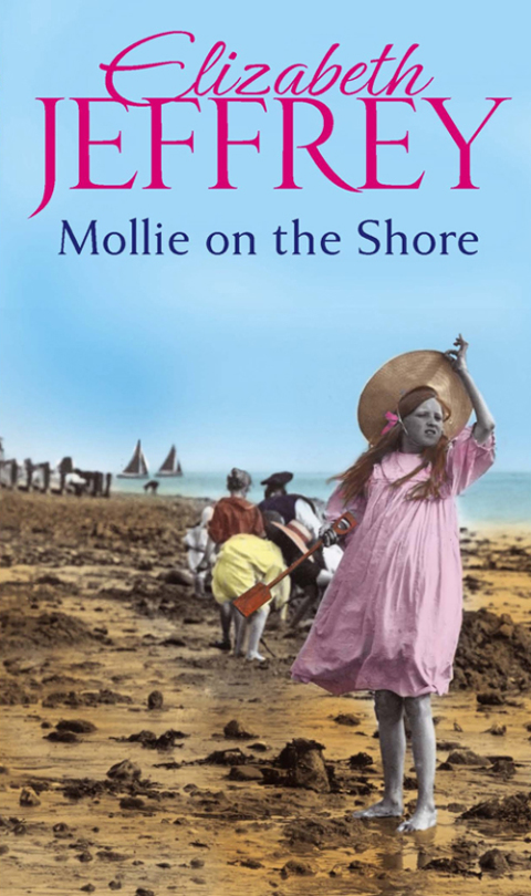 Cover image for book Mollie On The Shore
