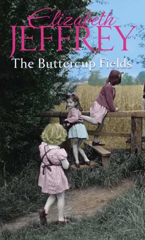 Cover image for book The Buttercup Fields