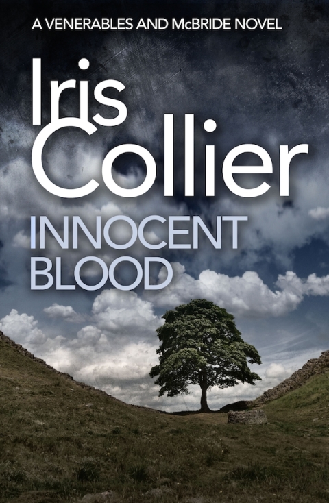 Cover image for book Innocent Blood