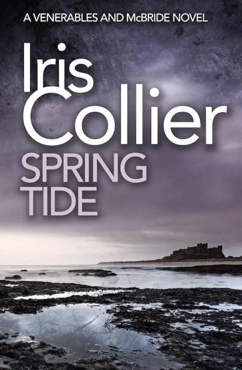 Cover image for book Spring Tide