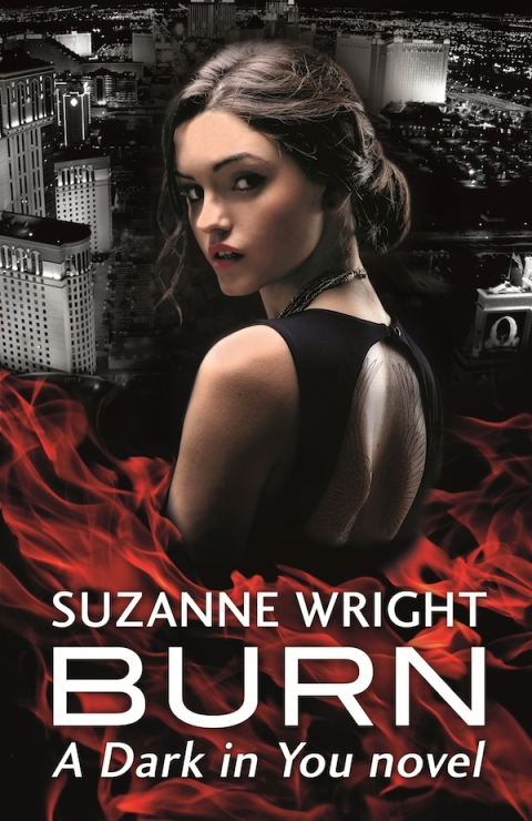 Cover image for book Burn
