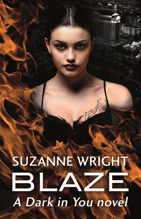 Cover image for book Blaze