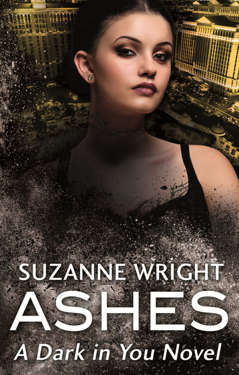 Cover image for book Ashes