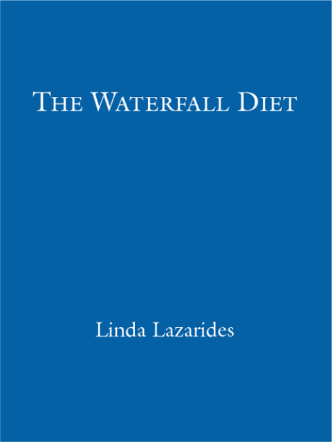 Cover image for book The Waterfall Diet