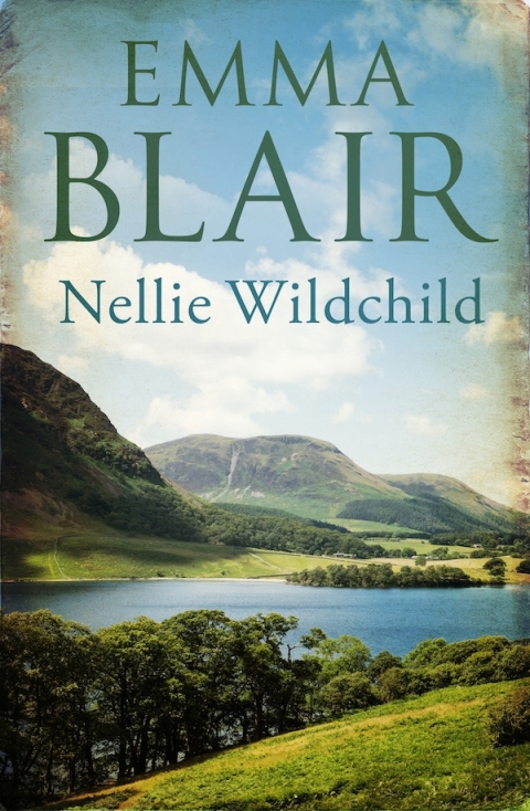 Cover image for book Nellie Wildchild