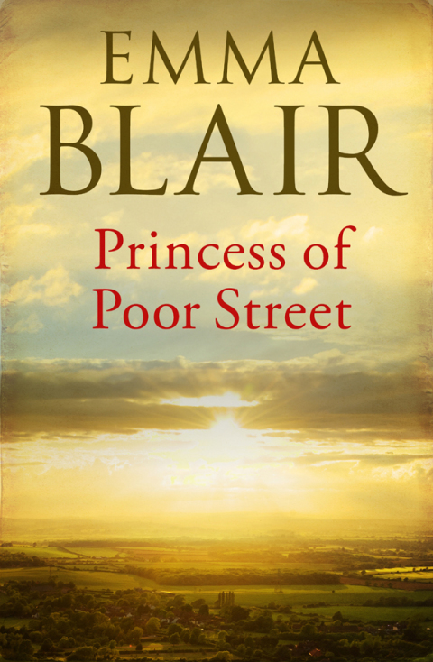 Cover image for book Princess of Poor Street