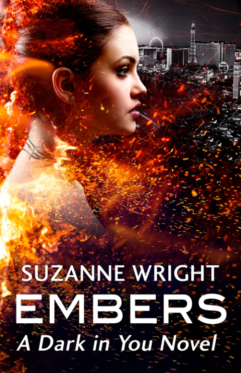 Cover image for book Embers
