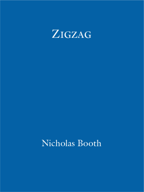 Cover image for book Zigzag
