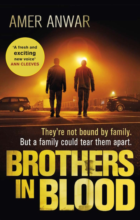 Cover image for book Brothers in Blood