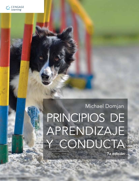 Cover image for book PRINCIPIOS DE APRENDIZAJE Y CONDUCTA