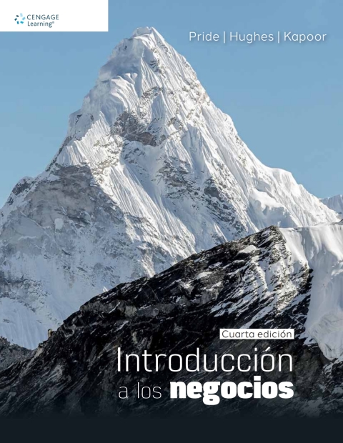 Cover image for book INTRODUCCION A LOS NEGOCIOS. 4A EDICION