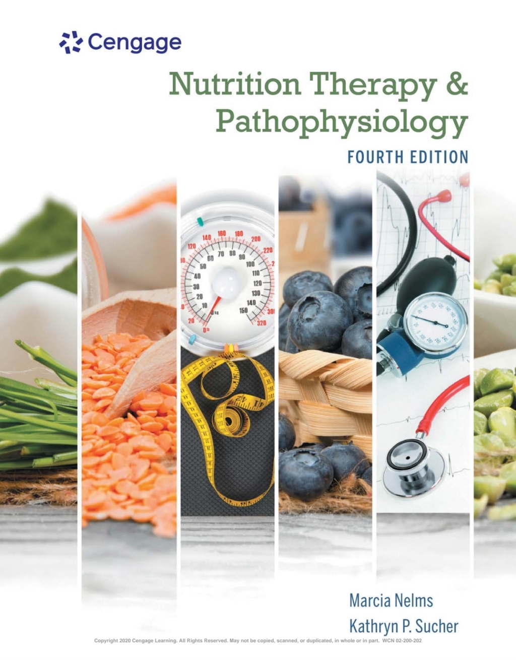 Page Fidelity Nutrition Therapy and Pathophysiology Book Only; $63.99
