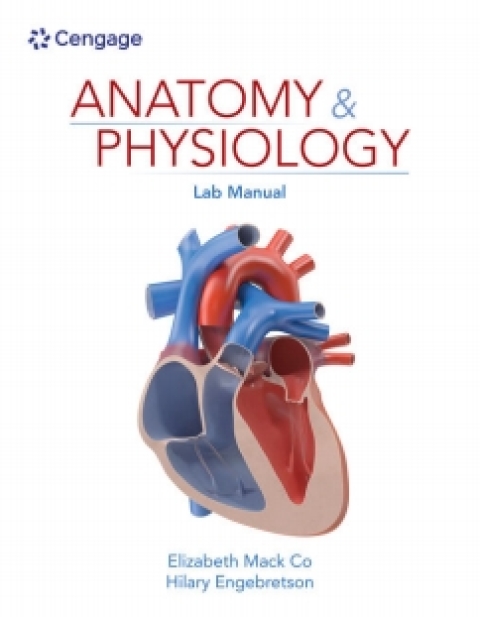 Online Resource MindTap for Co/Engebretson's Anatomy & Physiology Lab Manual, 1 term Instant Access; $109.38