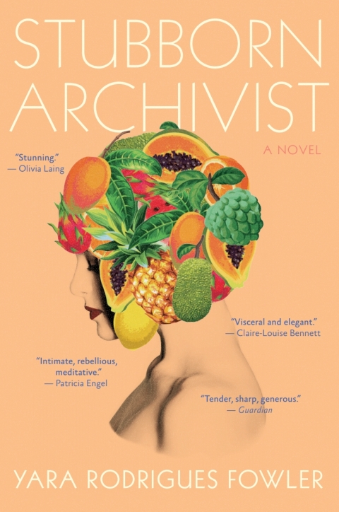 Cover image for book Stubborn Archivist