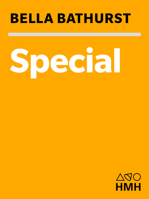 Cover image for book Special