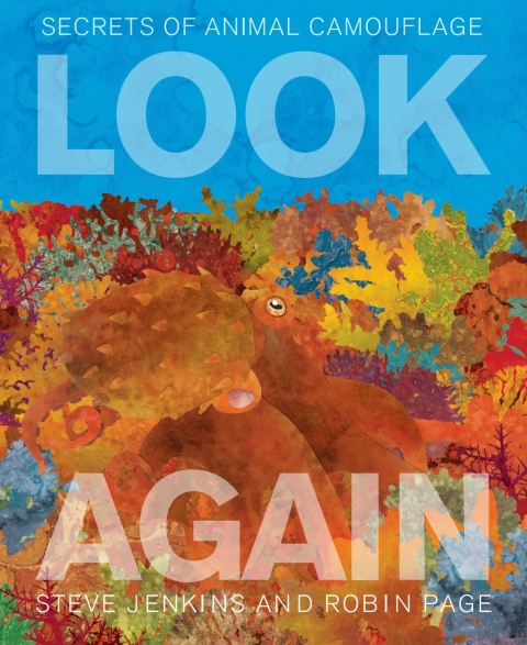 Cover image for book Look Again