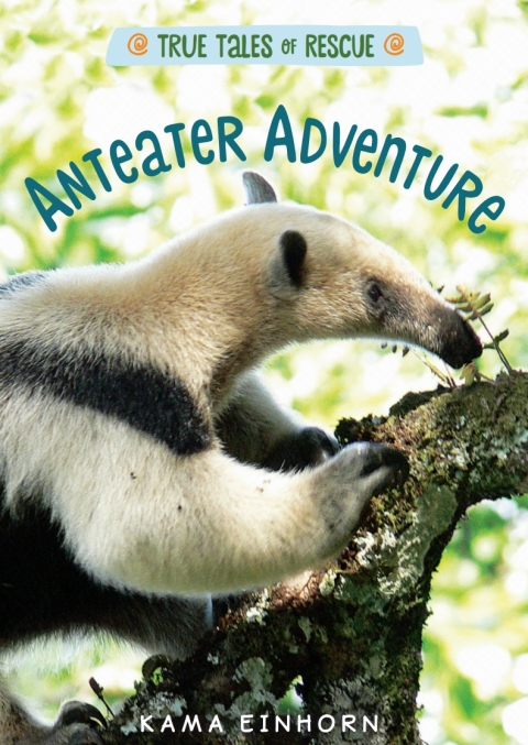 Cover image for book Anteater Adventure