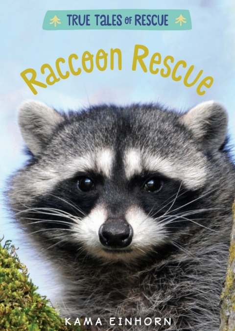 Cover image for book Raccoon Rescue
