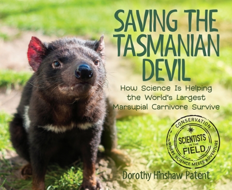 Cover image for book Saving the Tasmanian Devil