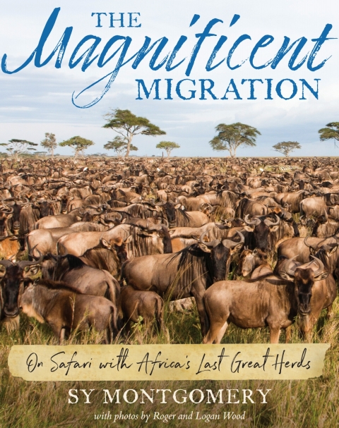 Cover image for book The Magnificent Migration