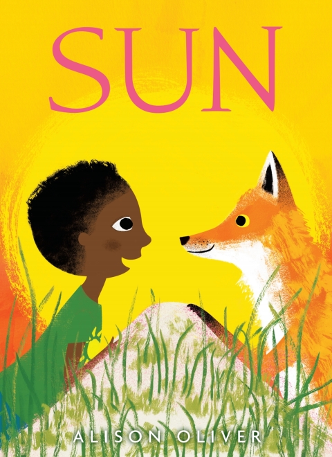 Cover image for book Sun