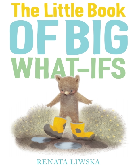 Cover image for book The Little Book of Big What-Ifs
