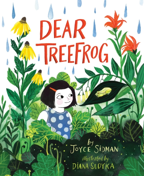 Cover image for book Dear Treefrog