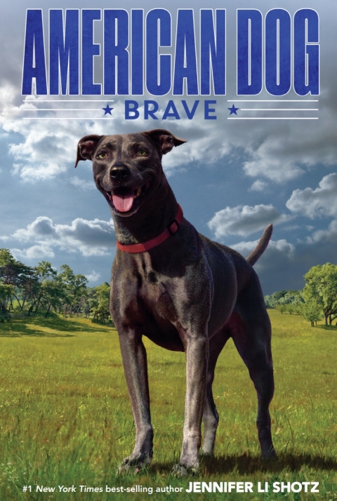Cover image for book Brave