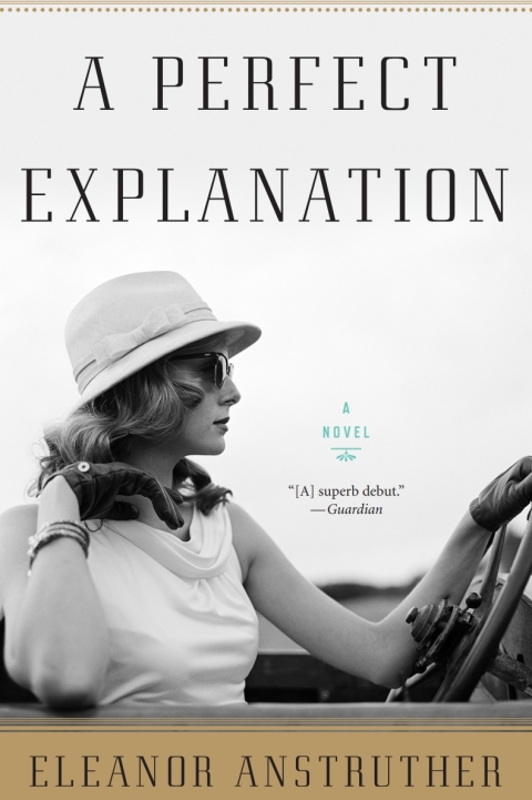 Cover image for book A Perfect Explanation