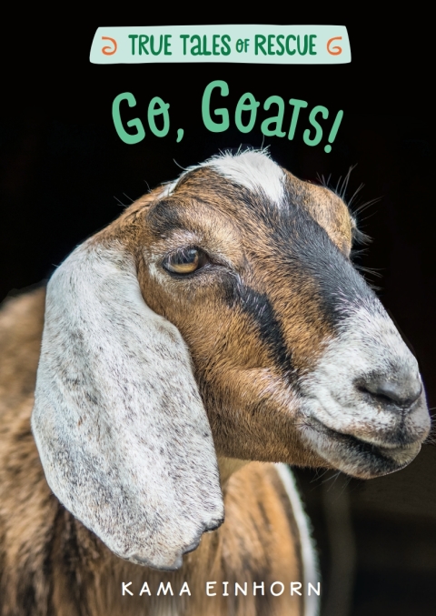 Cover image for book Go, Goats!