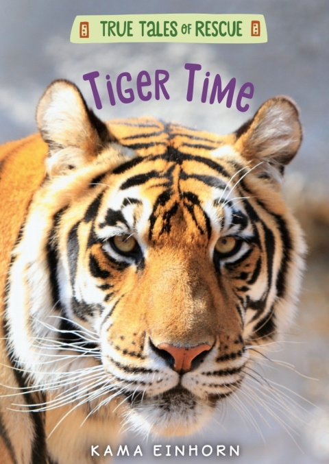 Cover image for book Tiger Time