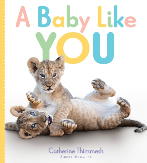 Cover image for book A Baby Like You