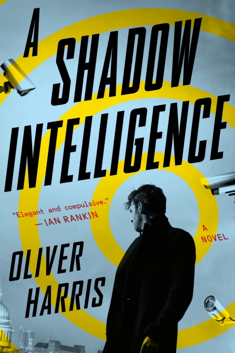 Cover image for book A Shadow Intelligence