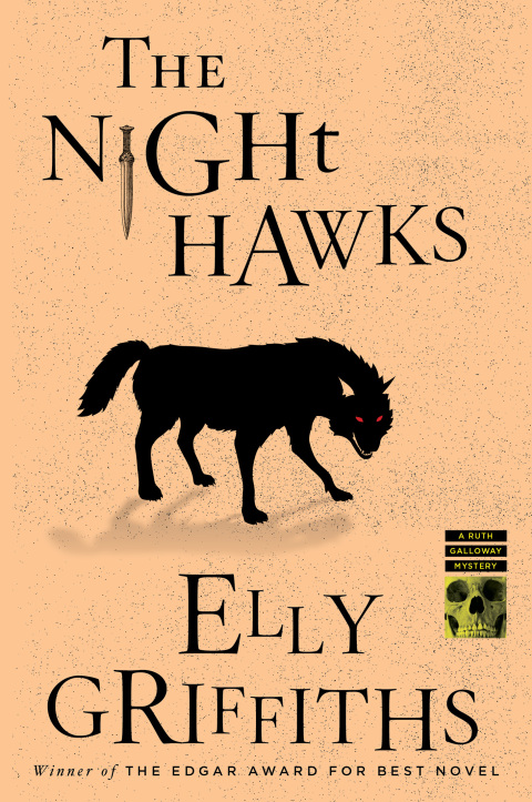 Cover image for book The Night Hawks