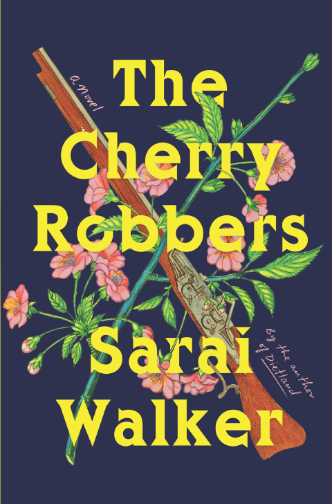 Cover image for book The Cherry Robbers