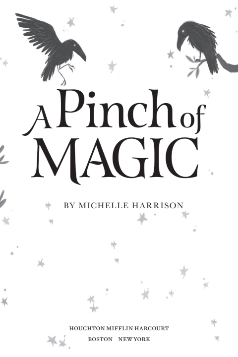 Cover image for book A Pinch of Magic